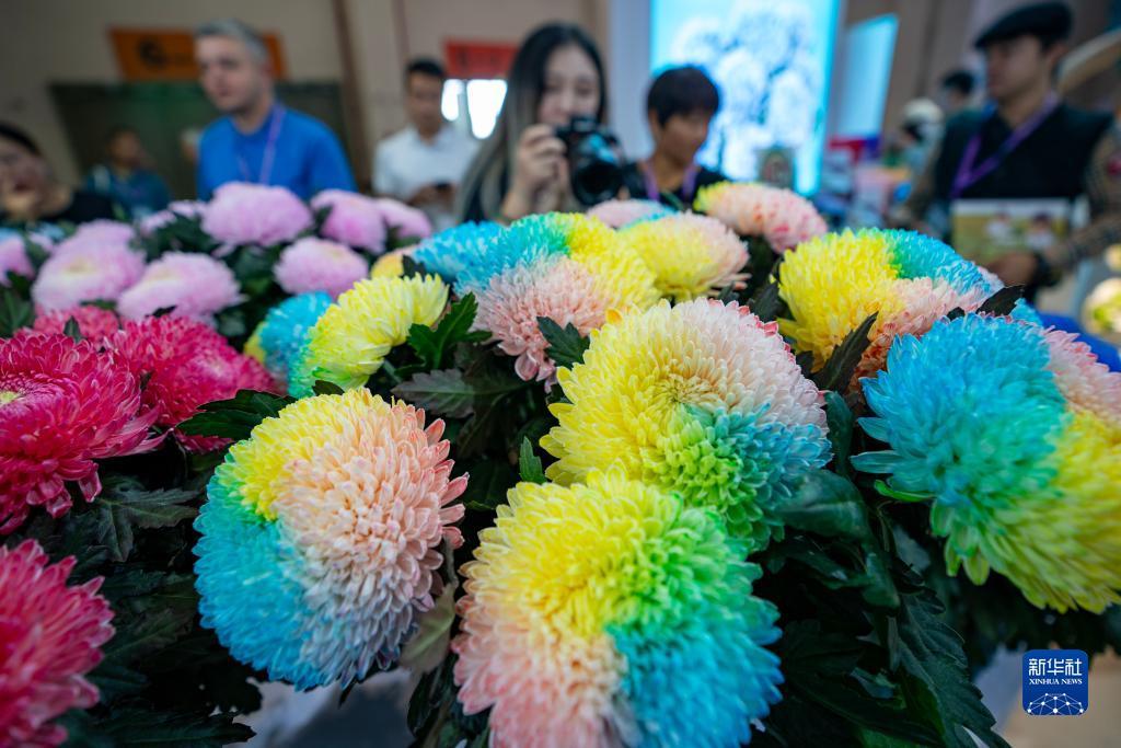 摩登彩票注册登录平台